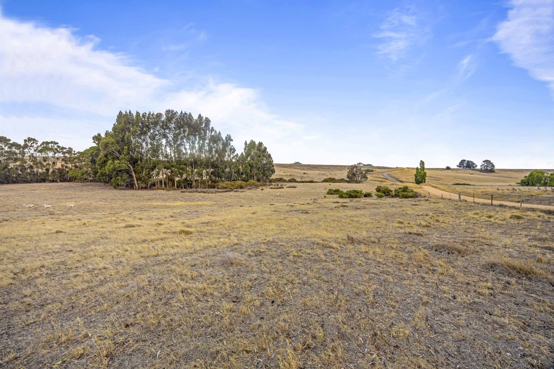 80 Mountain Creek Road, Clunes, Clunes - Thumbnail 2