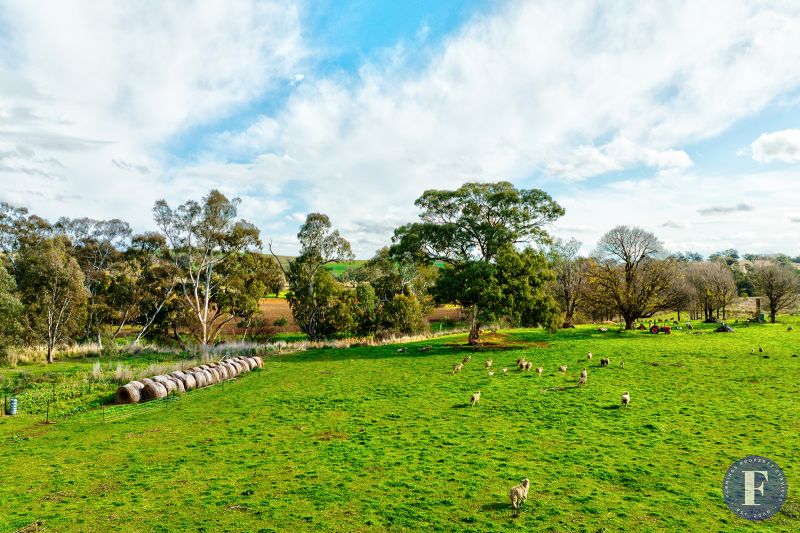 1593 Muttama Road, Muttama NSW, Muttama - Thumbnail 6