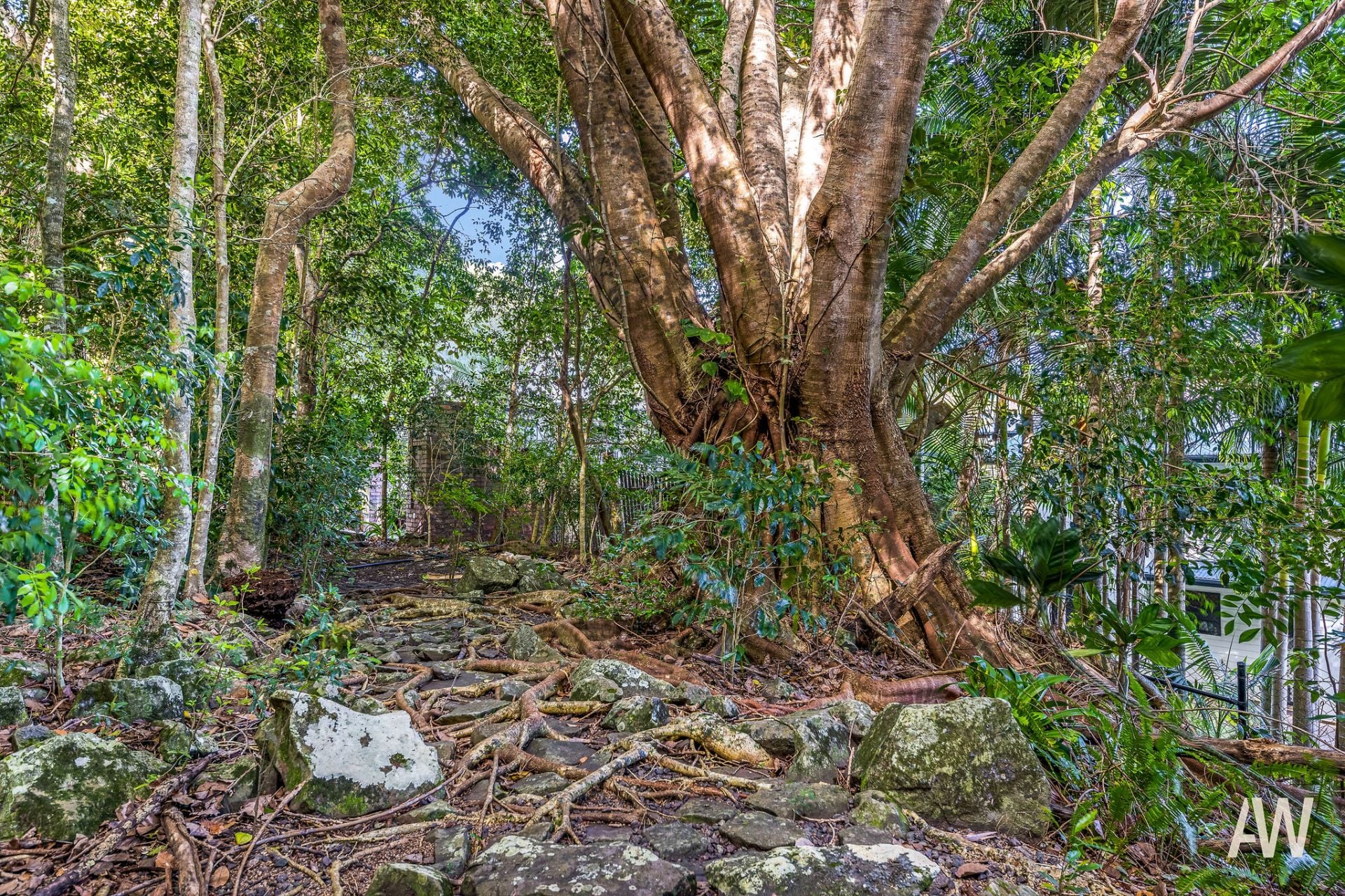 12A Gwynore Court Buderim QLD, Buderim - Thumbnail 8