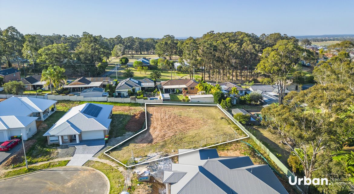 Bellbird 37 Beaufort Avenue