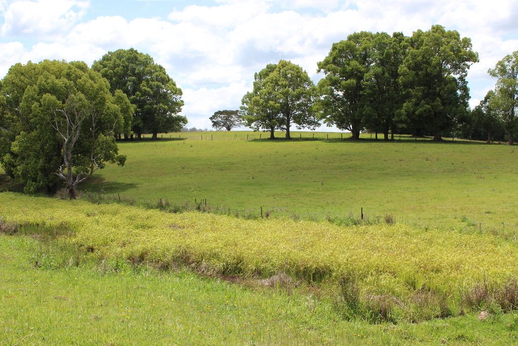 990 Stewarts River Road, LORNE NSW 2439