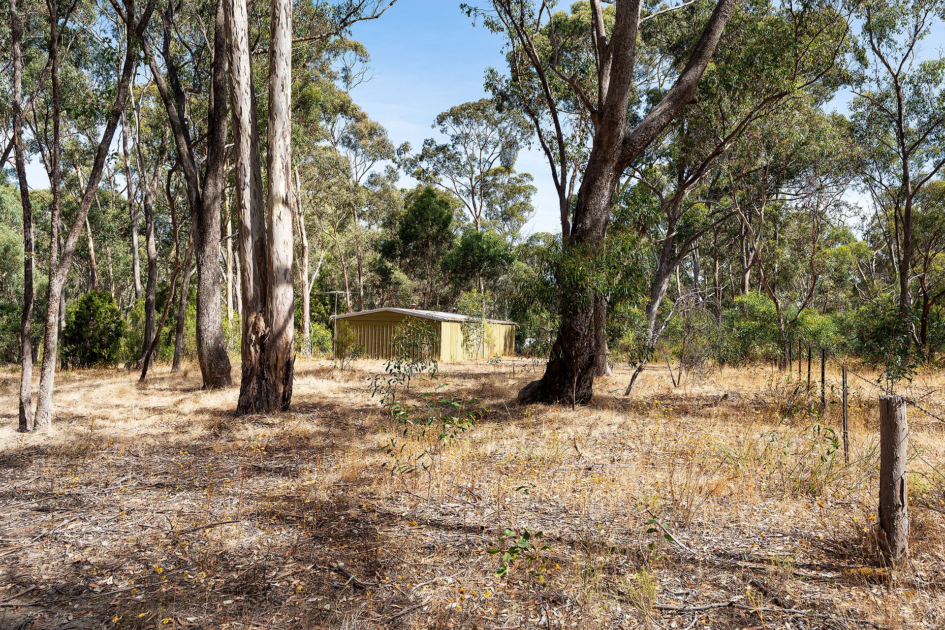 90 Fryers Road, Campbells Creek - Thumbnail 8