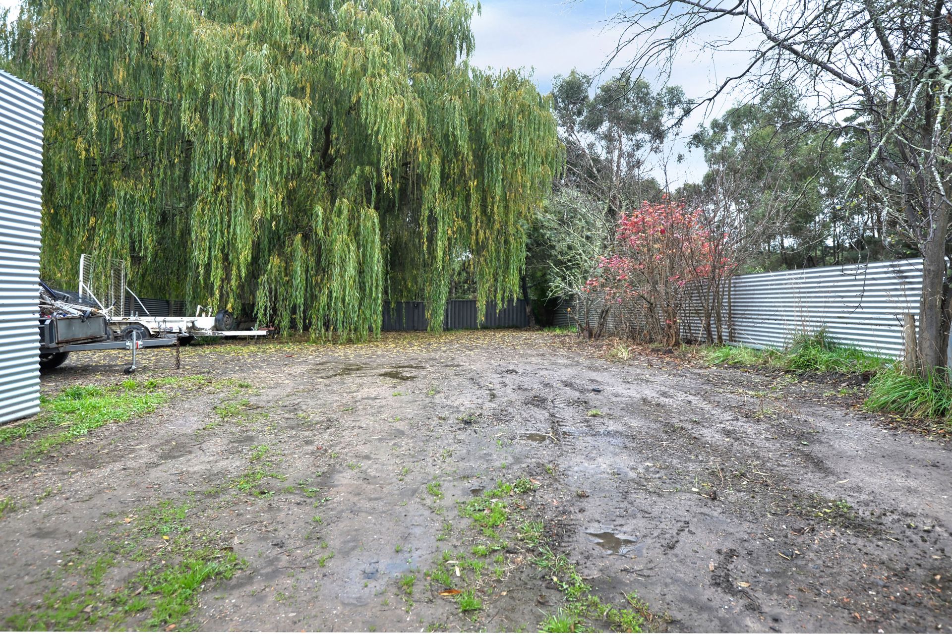 13 Ainley Street, Brown Hill, Brown Hill - Thumbnail 3