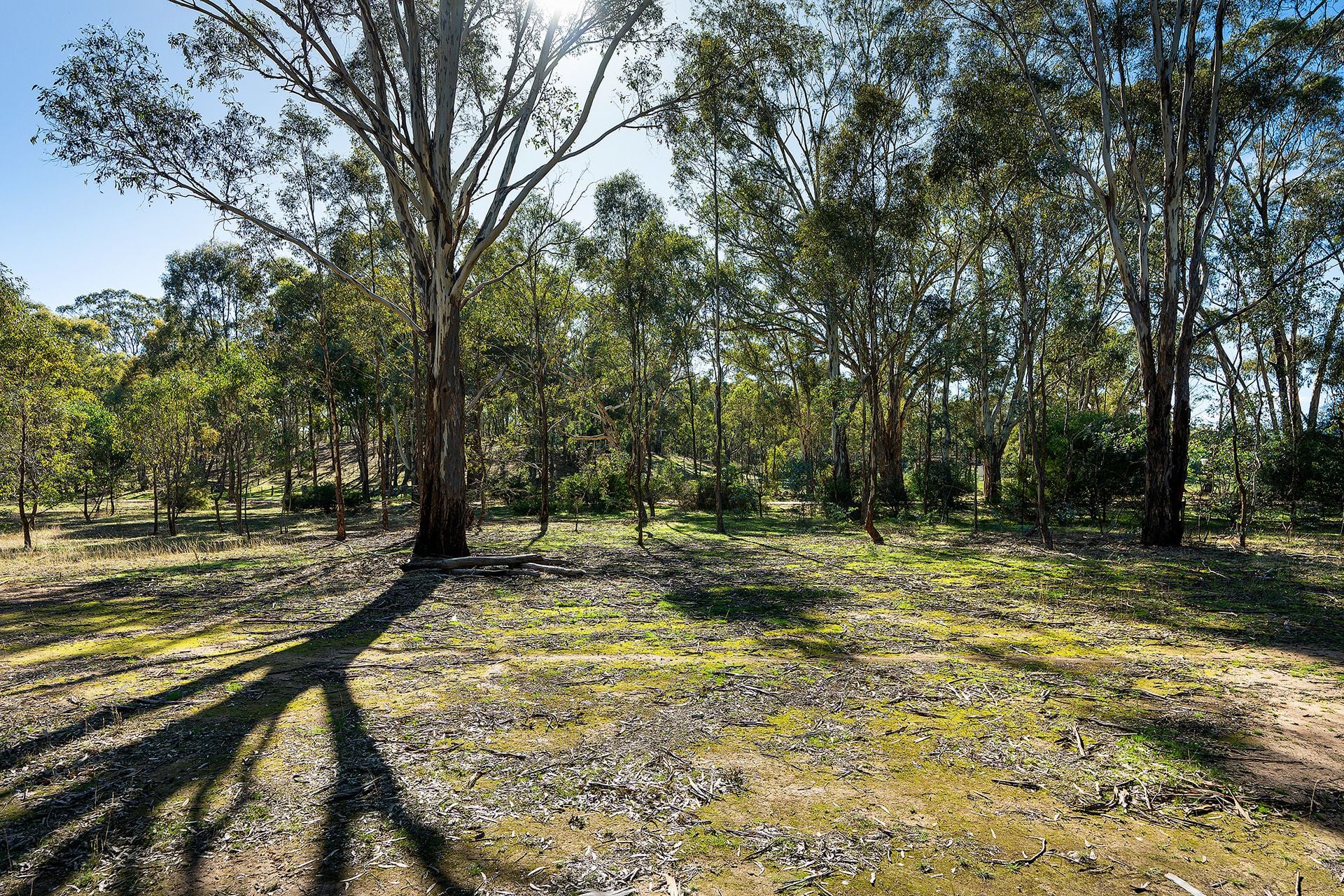 147 Sandy Creek Road, Maldon - Thumbnail 8