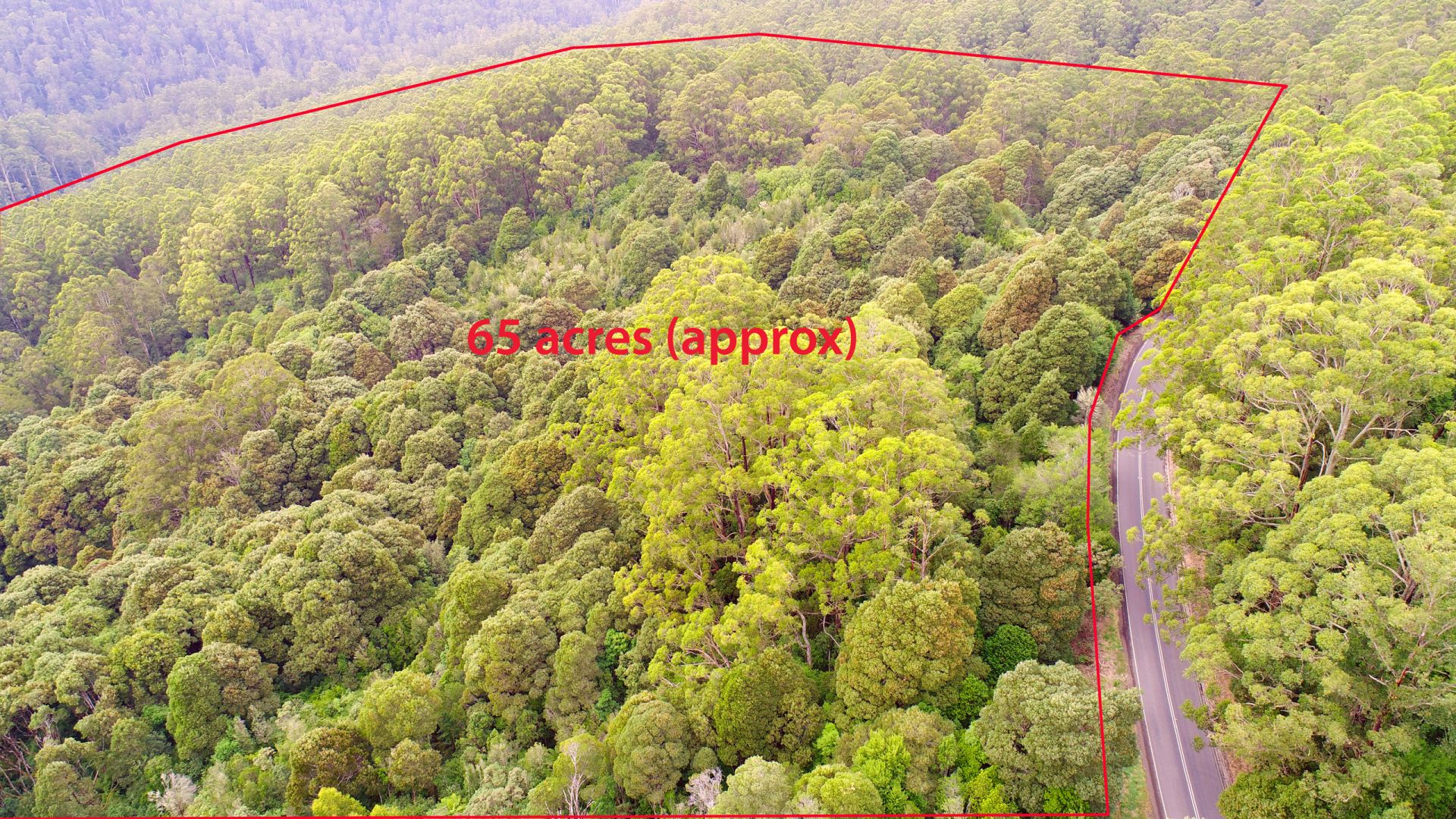1170 Skenes Creek Road, Tanybryn - Thumbnail 2
