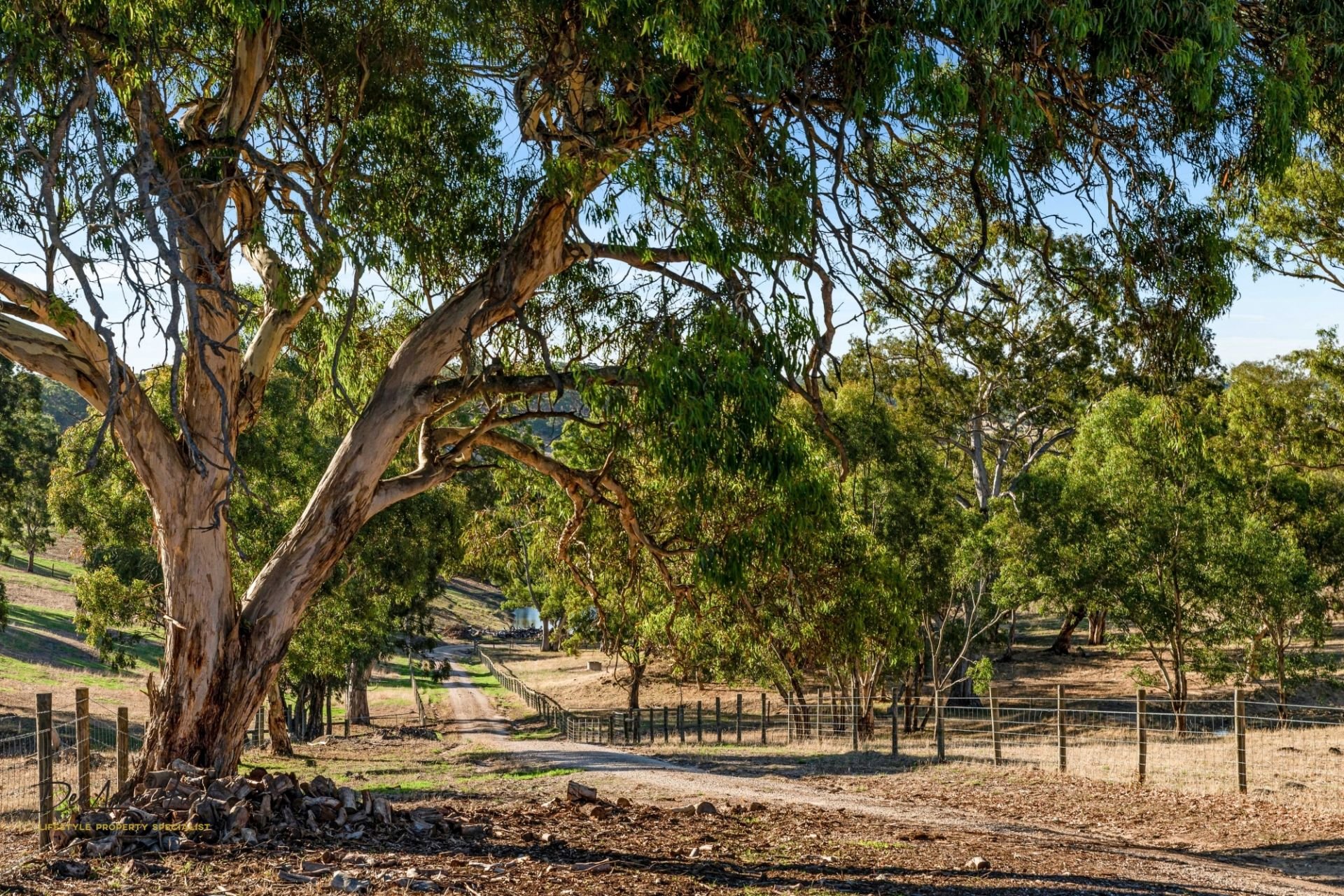 290 Gemmell Road, Macclesfield Williams Real Estate