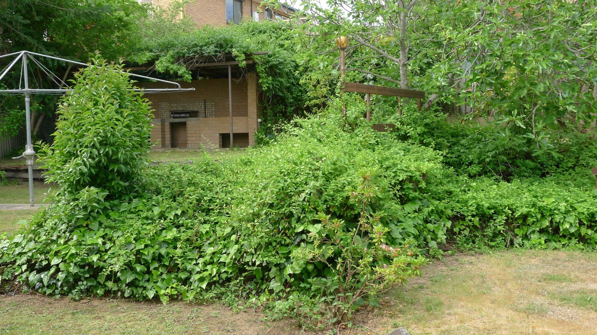 324 Tracy Street Lavington NSW, Lavington - Thumbnail 6