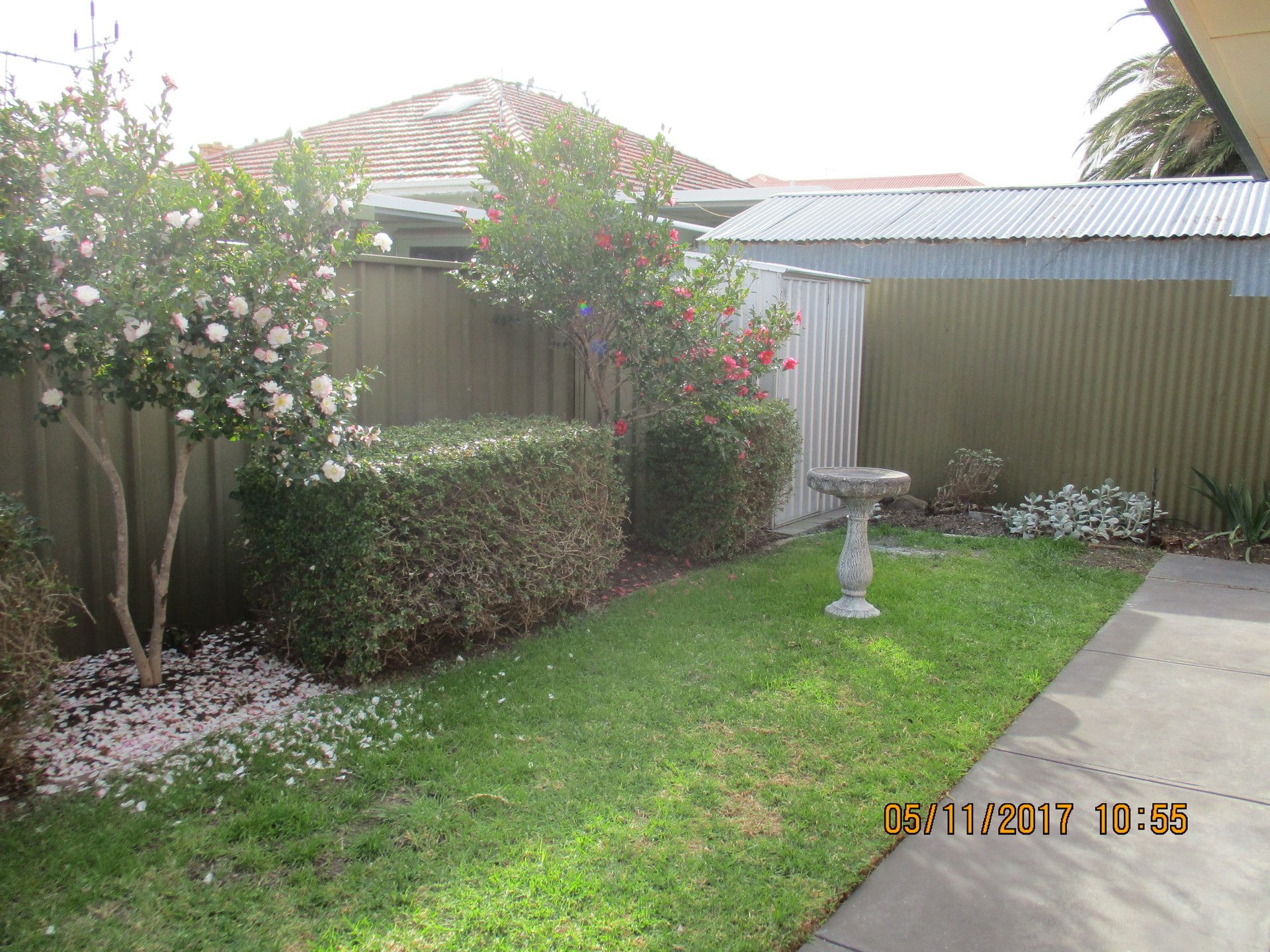 41A Dingera Avenue  North Plympton 5037