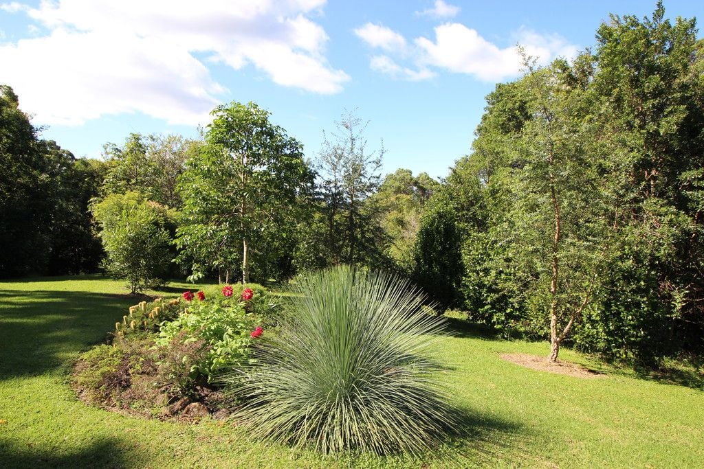 389 Playfords Road, COMBOYNE NSW 2429