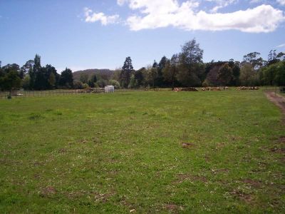 5 Champ Street, LATROBE, Latrobe - Thumbnail 5