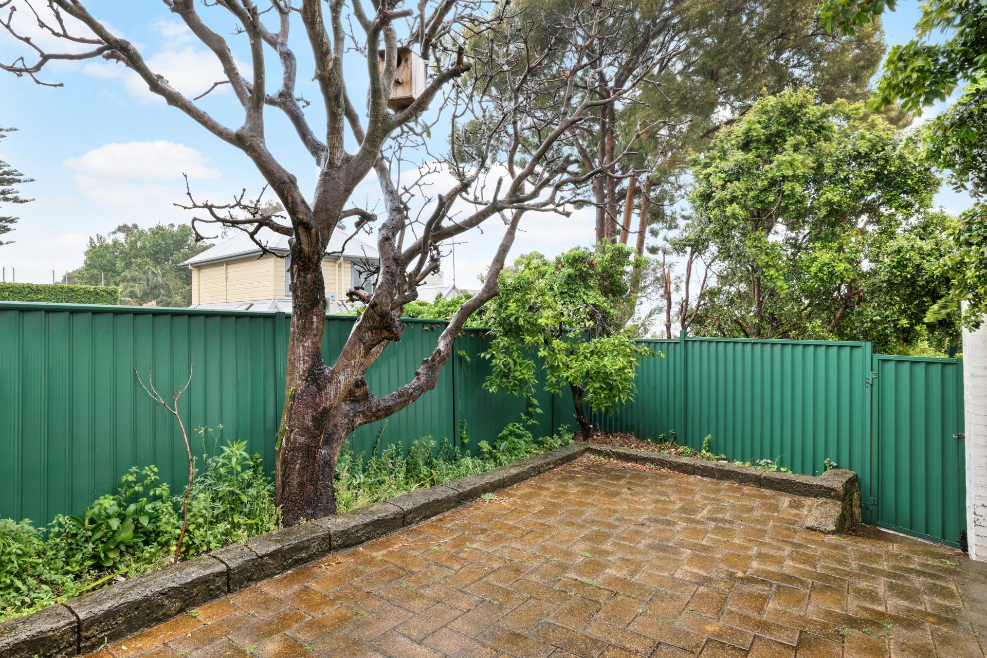 Real Estate For Sale 124 Blues Point Road McMahons Point , NSW