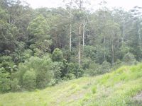 71 Martins Road BUDERIM QLD, Buderim - Thumbnail 6