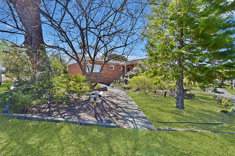 33 Starkey Street, Forestville Skyline Real Estate