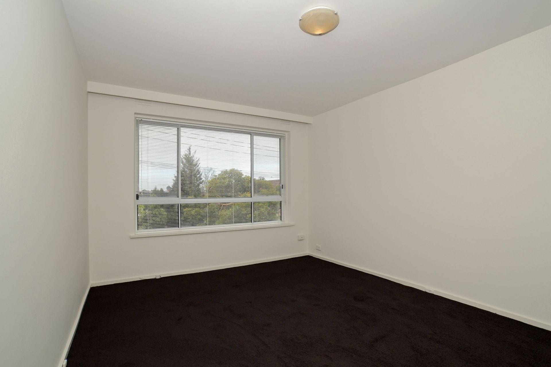 Renovated Bight Apartment