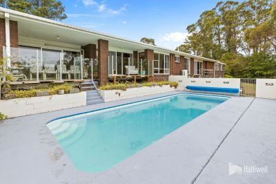 4
 
 
 
  
 
 
 3
 
 
 
  
 
 
 2
 
 
 
 
 
 
 
 4 Park Drive, Ambleside TAS 7310, Ambleside - Thumbnail 4