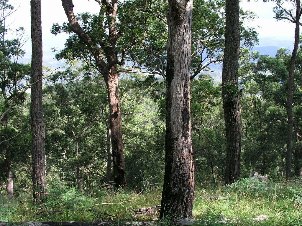 Lot 204 Misty Vale Way, HOLLISDALE NSW 2446