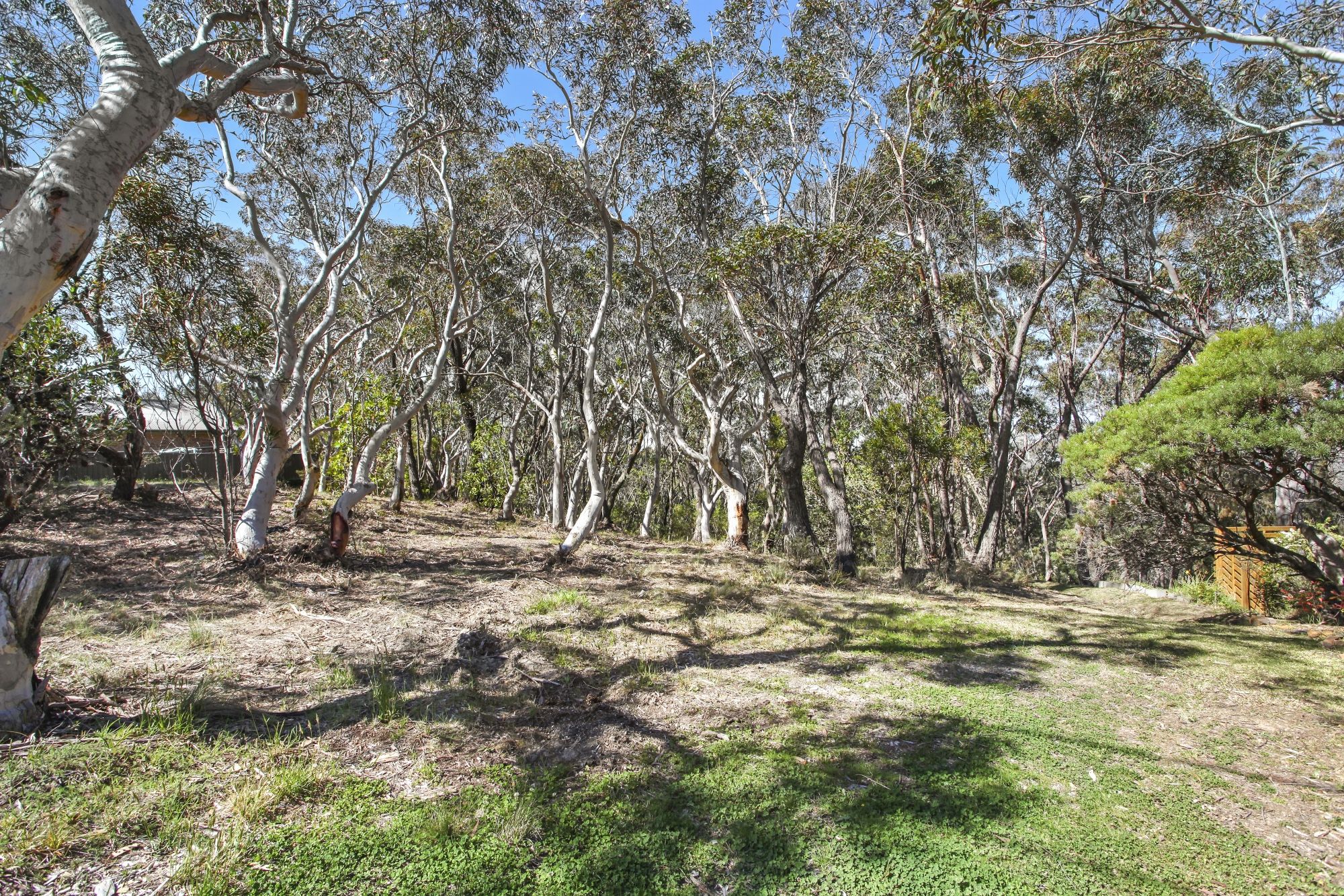 5-7 Daintrey Street Wentworth Falls 2782