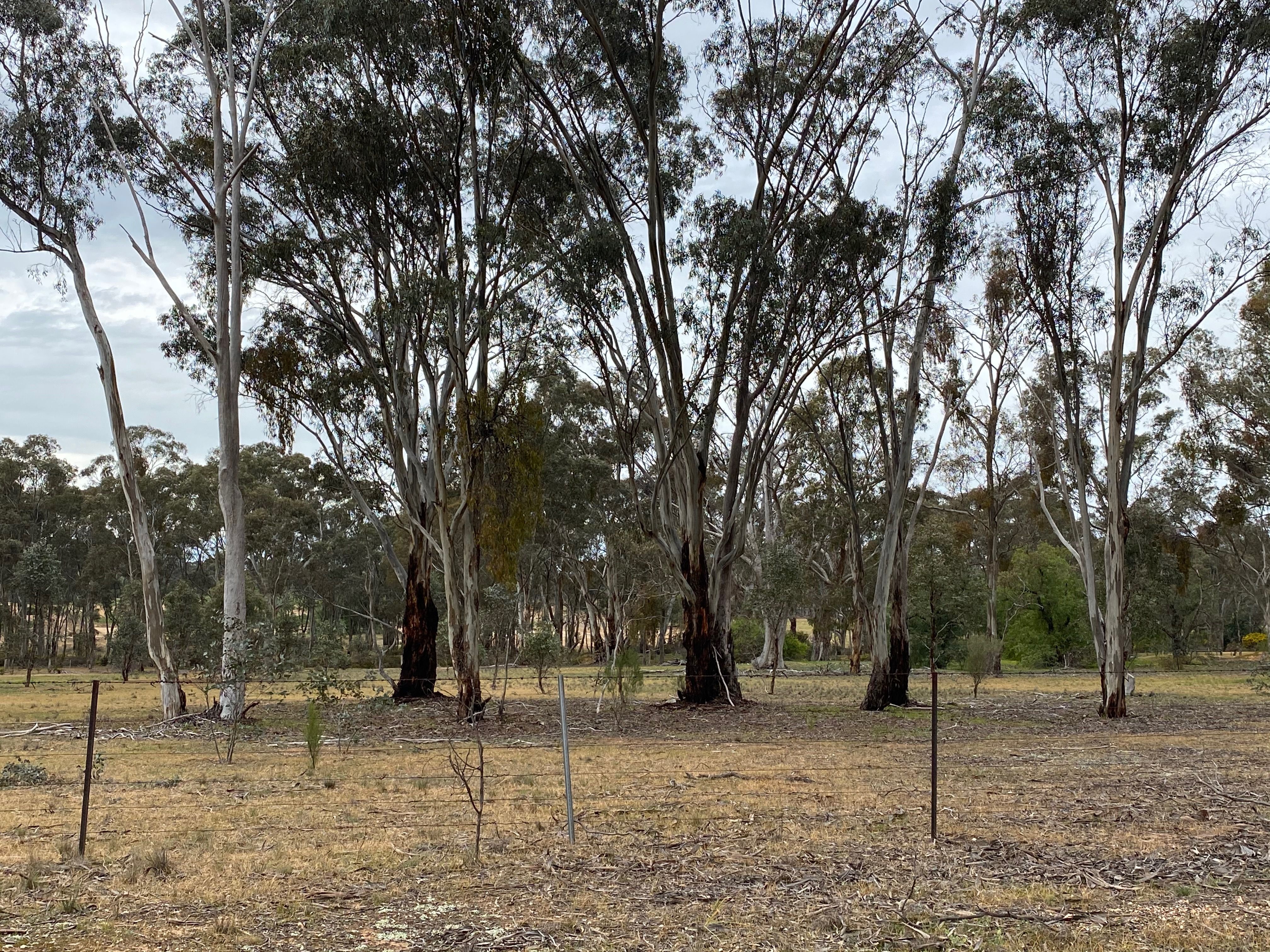 Lot 11/ Denyers Road, Bowenvale VIC 3465
