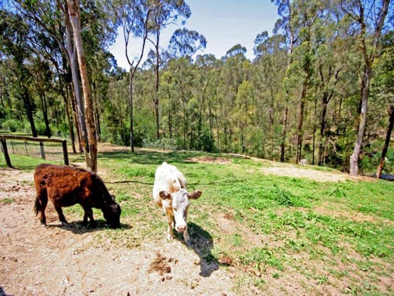 GROSE WOLD, NSW, Grose Wold - Thumbnail 3