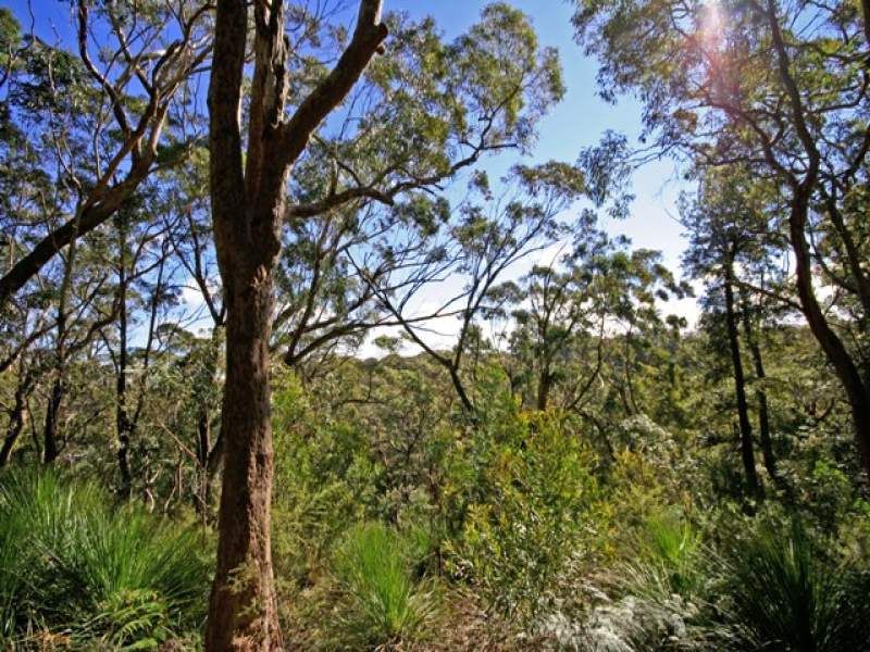 KURRAJONG HEIGHTS, NSW, Kurrajong - Thumbnail 4