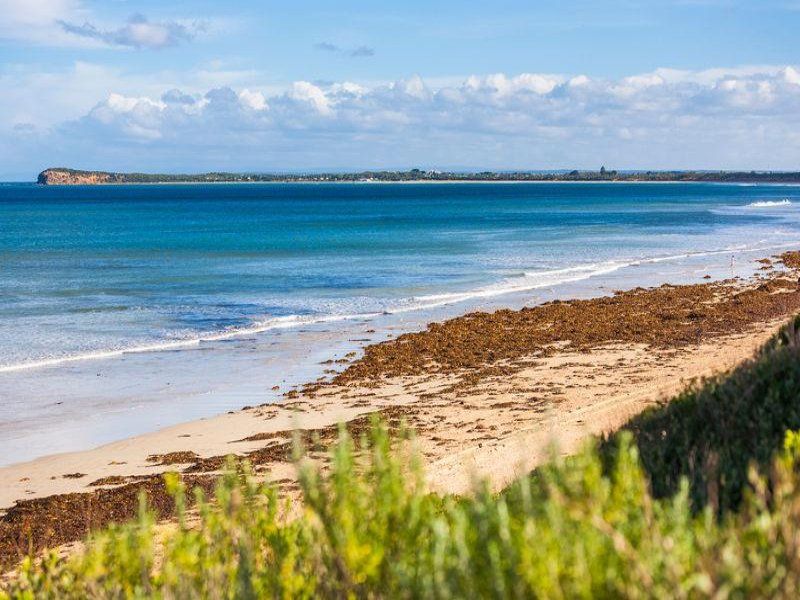 122 The Avenue OCEAN GROVE VIC, Ocean Grove - Thumbnail 4