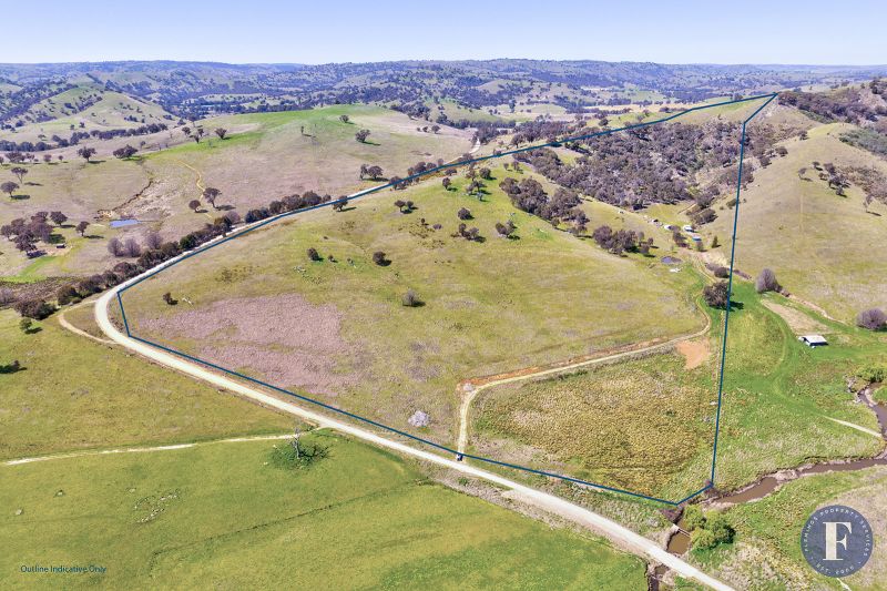 62 Battery Crossing Road, Boorowa NSW, Boorowa - Thumbnail 4