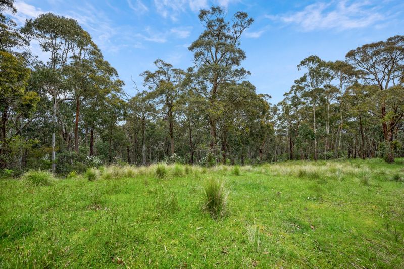 125 Marks Track, Deans Marsh, VIC, Deans Marsh - Thumbnail 4