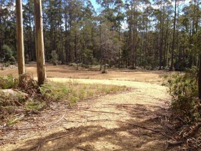 51 Wattle Valley Road, ACACIA HILLS, Acacia Hills - Thumbnail 3