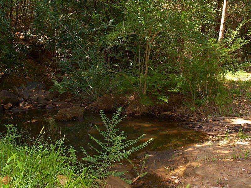 KURRAJONG, NSW, Kurrajong - Thumbnail 7