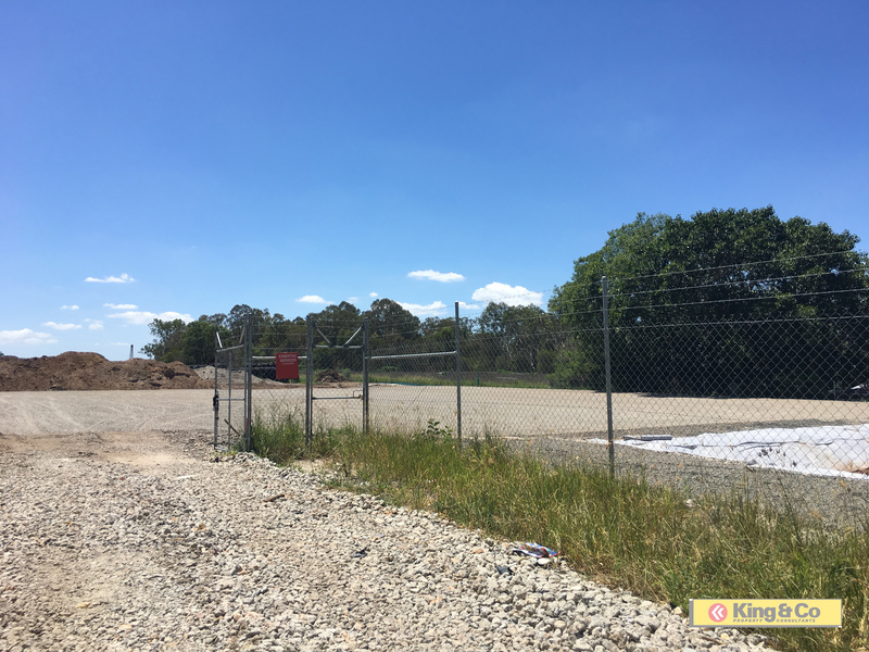 BLANK CANVASS - RIGHT FOR THE PICKING!