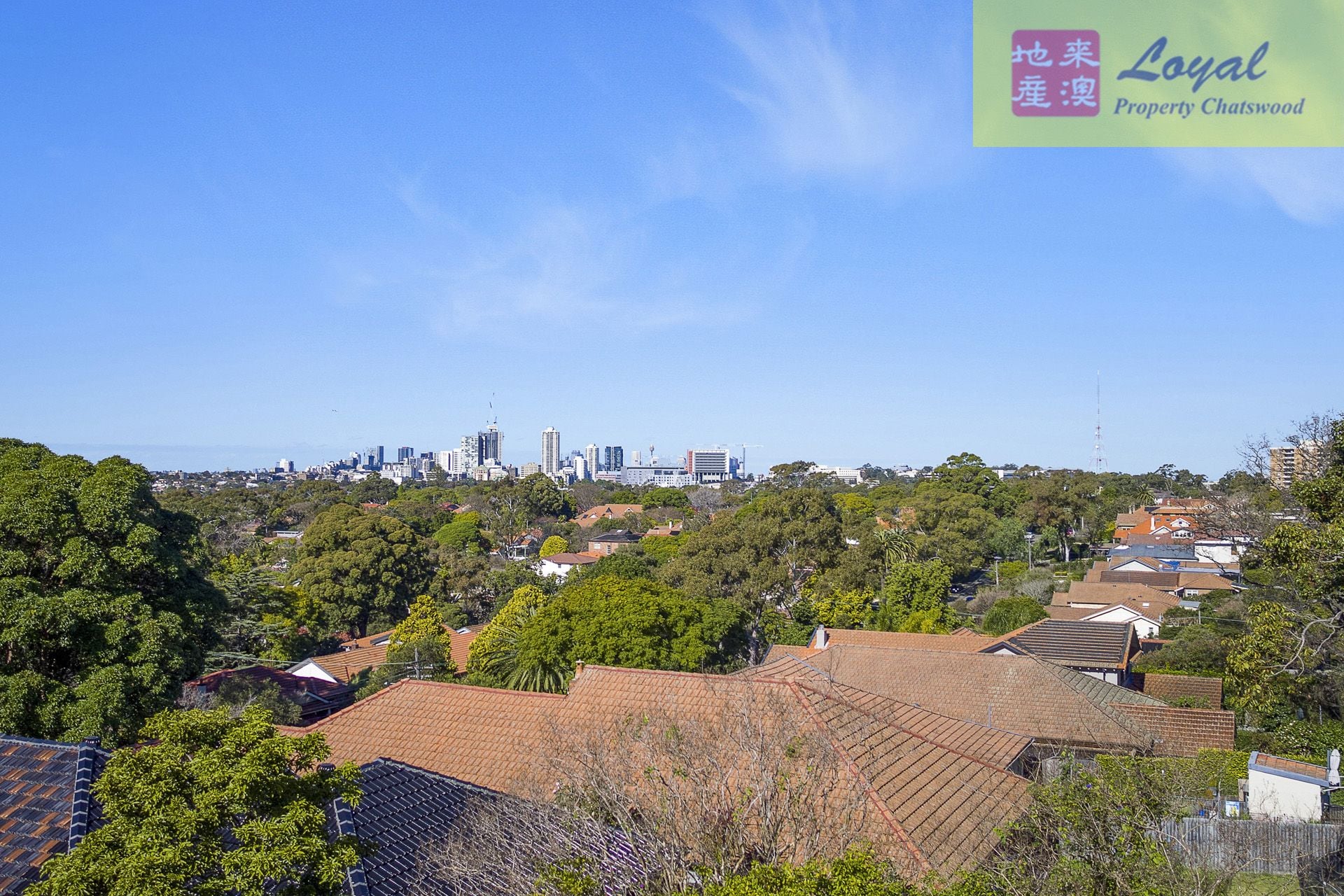64 Stafford Road Artarmon NSW, Artarmon - Thumbnail 5