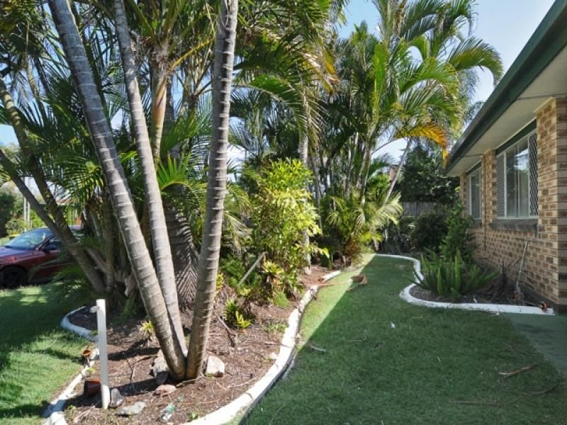 4 Arunta Street BUDDINA QLD, Buddina - Thumbnail 6