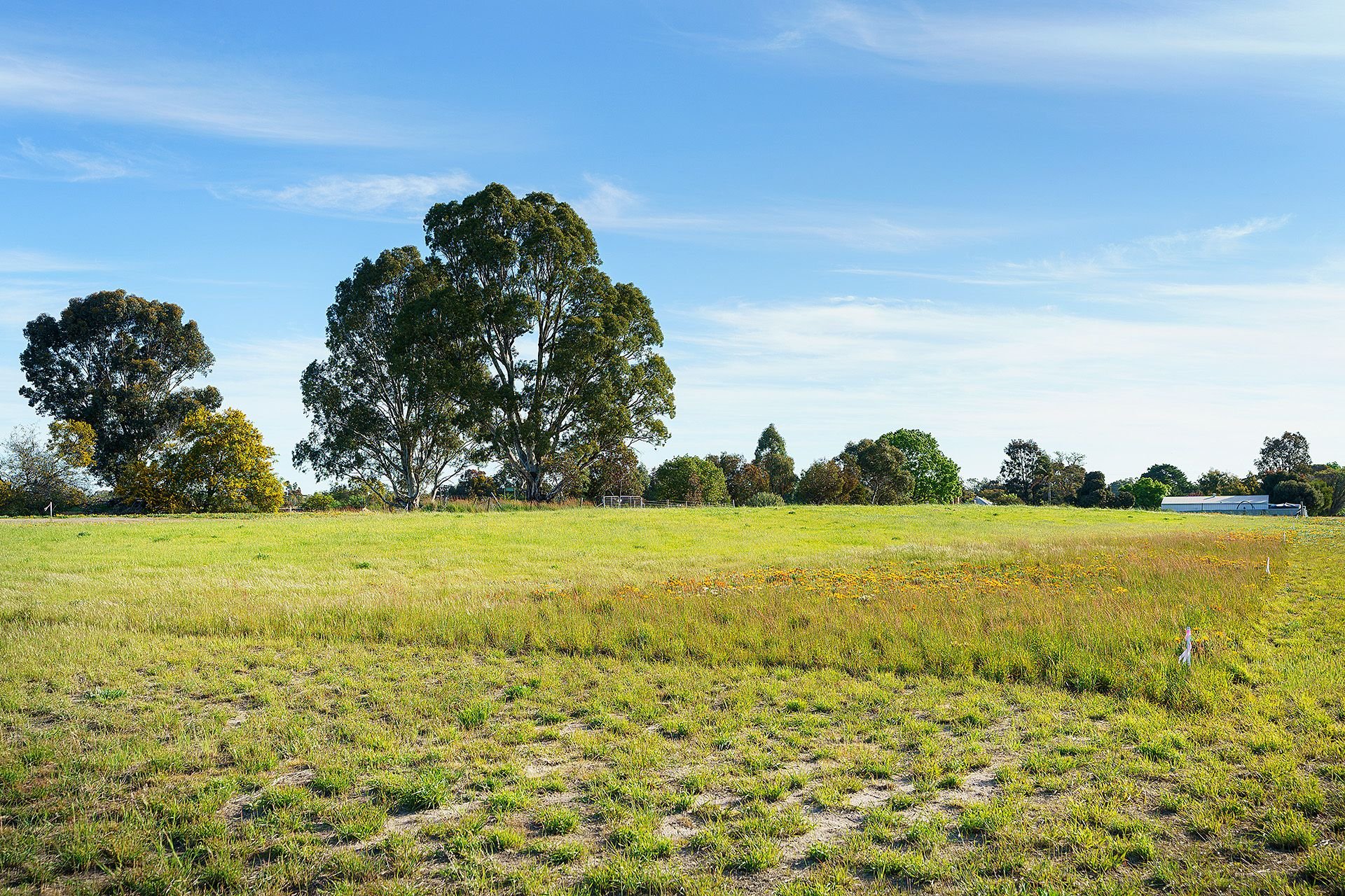 Lot 7/ Whitton Street, Dimboola VIC 3414