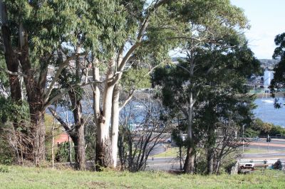 4 Marine Street, East Devonport, East Devonport - Thumbnail 5