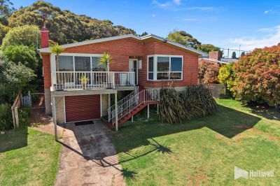 12 Riverview Avenue, East Devonport, East Devonport - Thumbnail 3