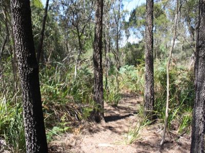 Lot 12 Port Sorell Main Road, PORT SORELL, Port Sorell - Thumbnail 3