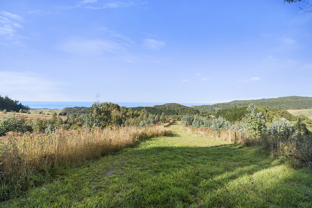 505  Blue Johanna Road, Johanna, VIC, Johanna - Thumbnail 8