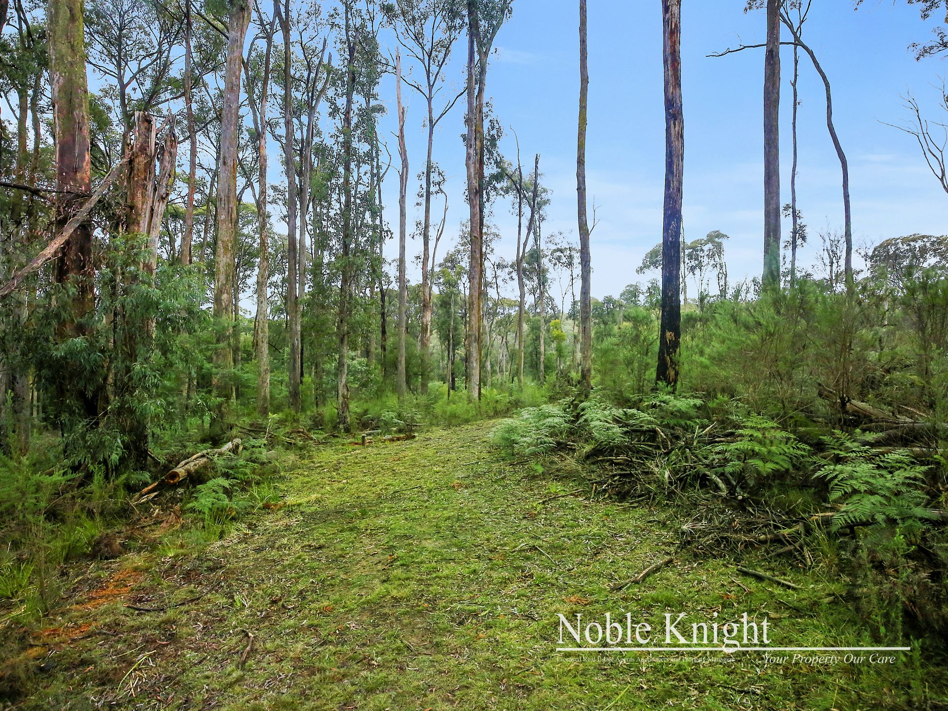 2/53 Banksia Court Castella