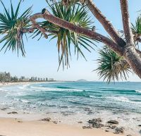 1/10 Tranquil Place Alexandra Headland QLD, Alexandra Headland - Thumbnail 6