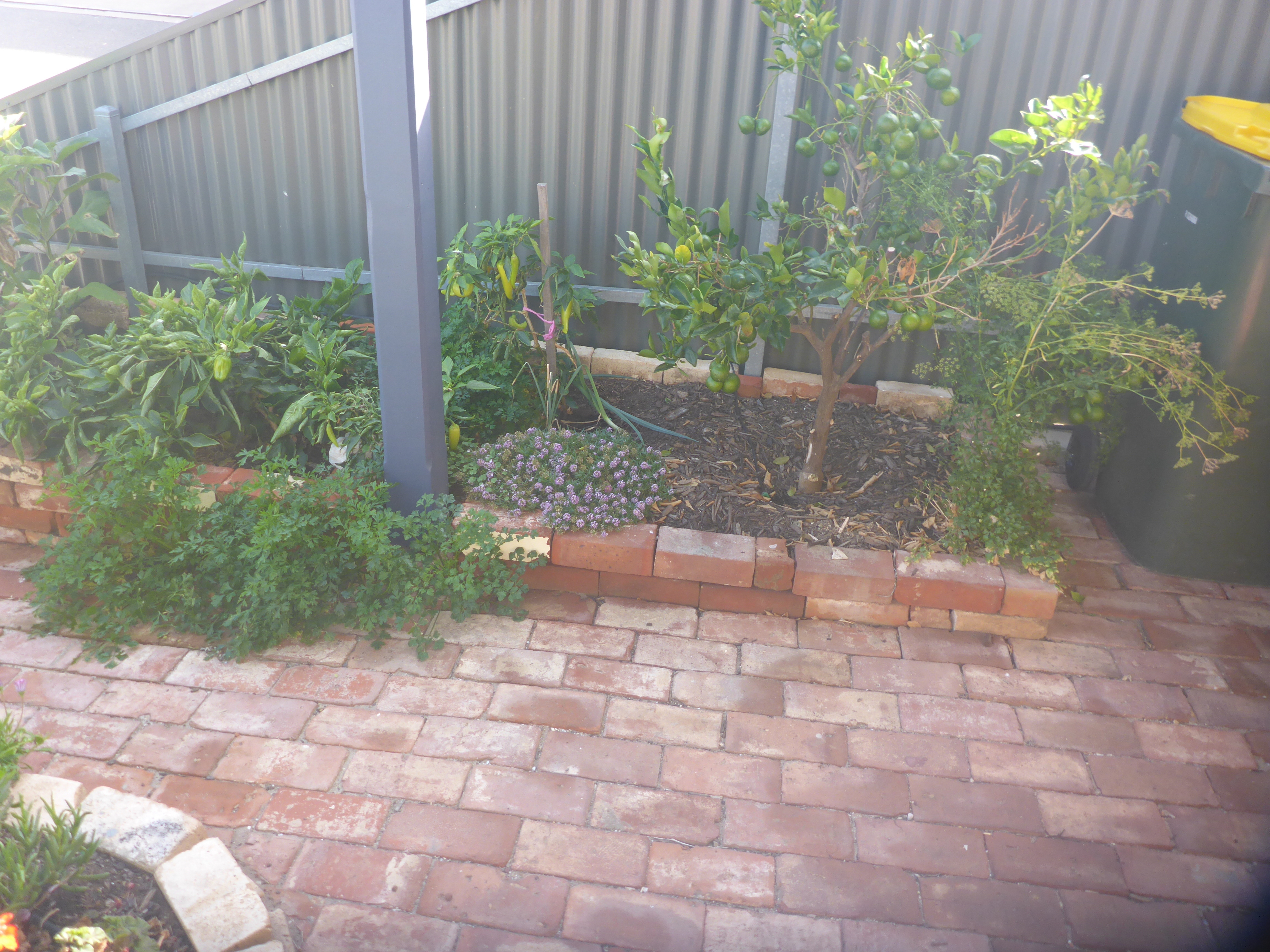 32 Cavendish Street Semaphore 5019