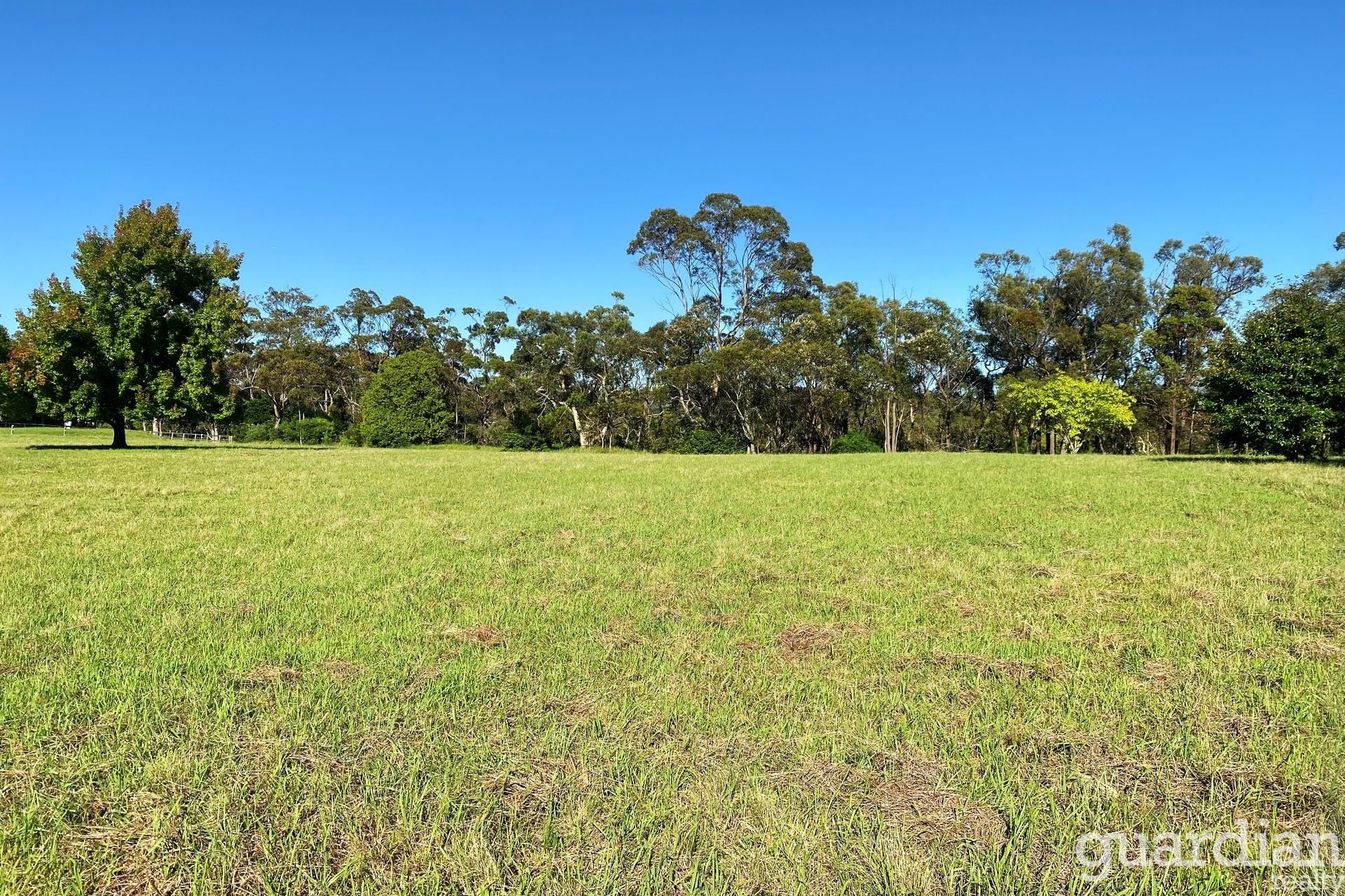 30 Calabash Road Arcadia NSW, Arcadia - Thumbnail 5