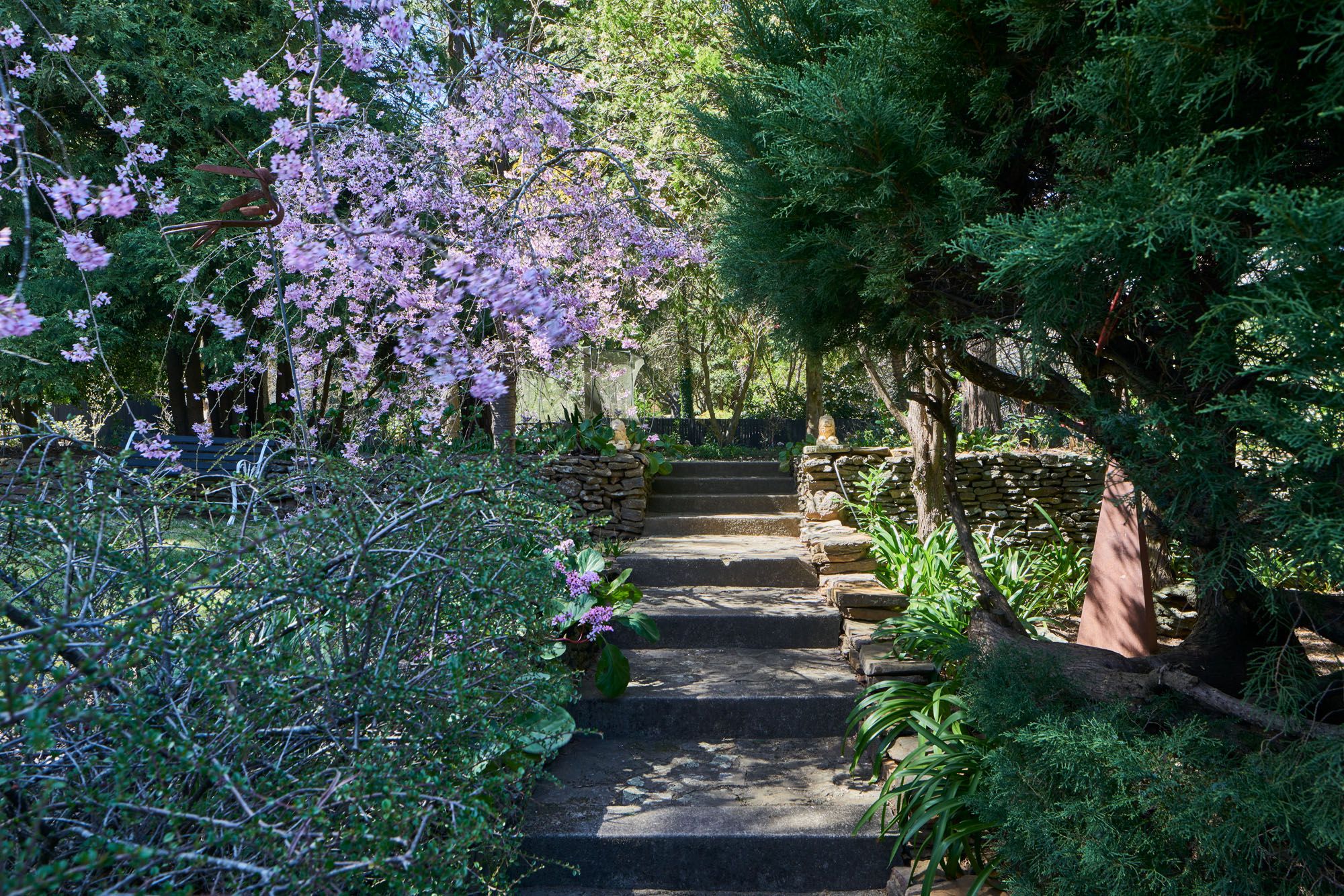 10 Blackheath Street Leura 2780