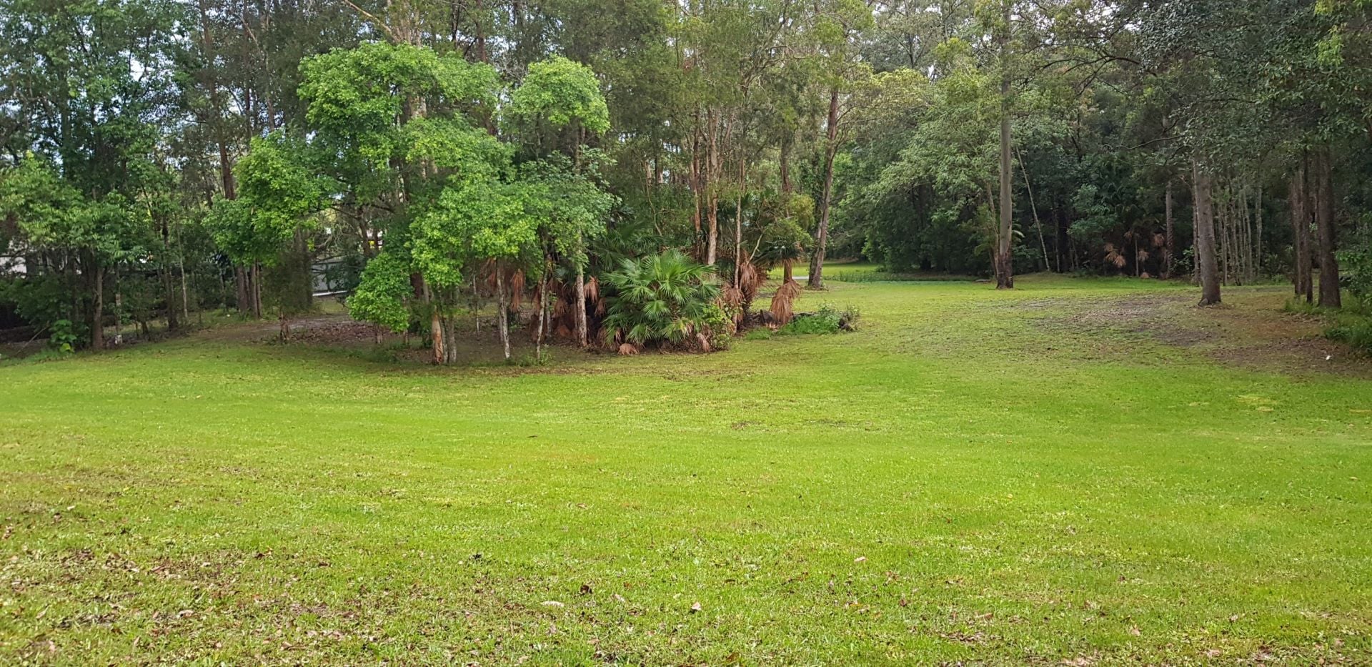 23A Nandewar Drive Buderim QLD, Buderim - Thumbnail 3