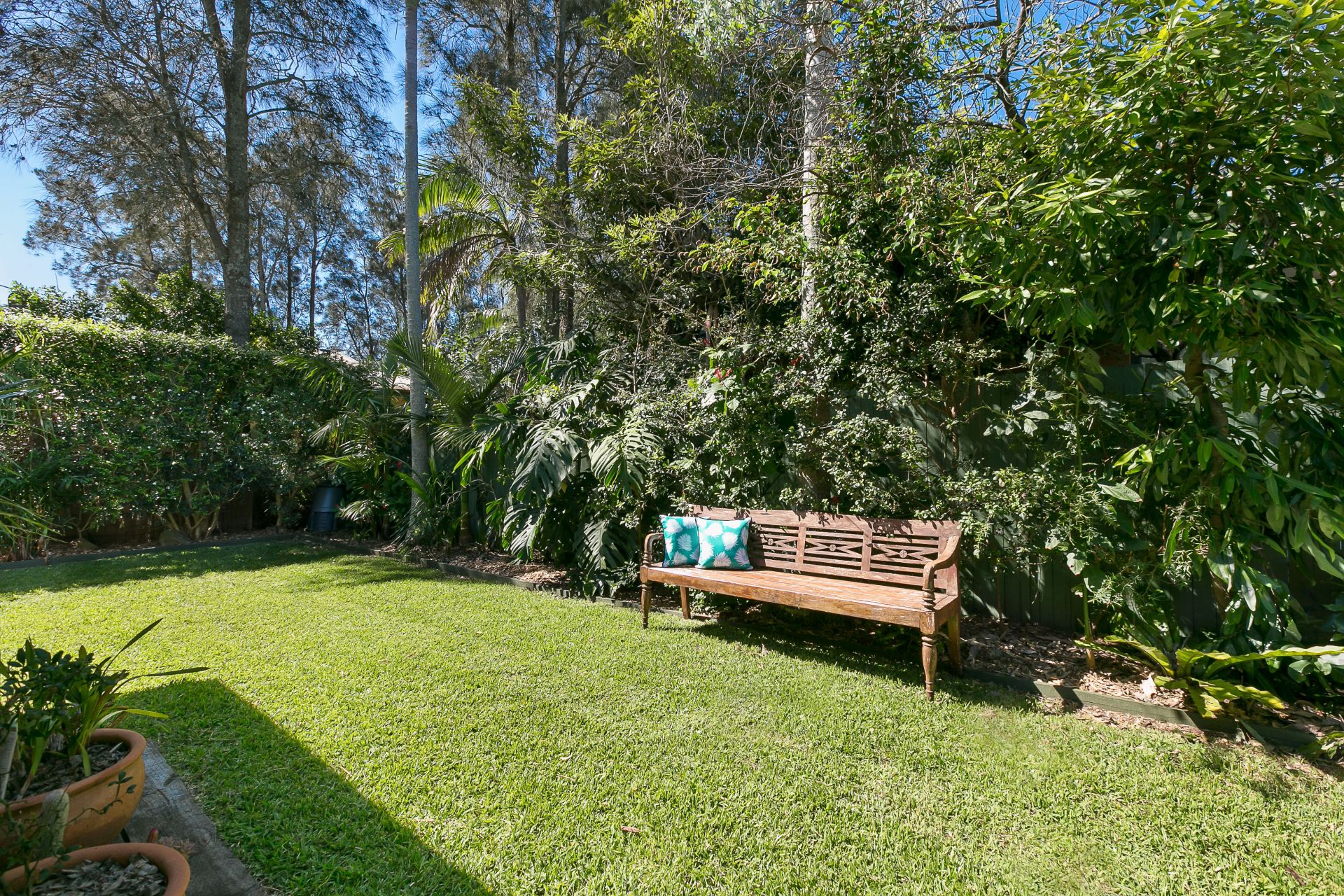 58 William Street Avalon Beach NSW, Avalon Beach - Thumbnail 3