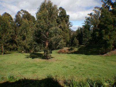 5
 
 
 
  
 
 
 1
 
 
 
  
 
 
 3
 
 
 
 
 
 
 
 225 Kelcey Tier Road, SPREYTON TAS 7310, Spreyton - Thumbnail 3