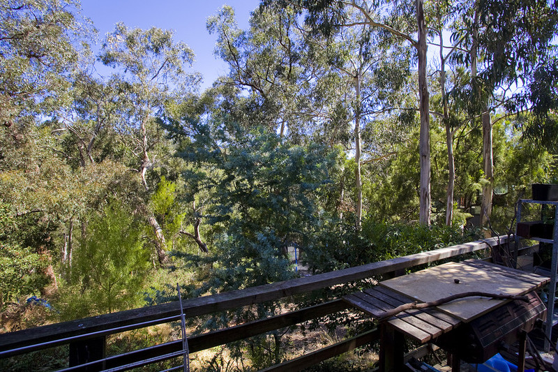 2/6 George Street, Lorne, VIC, Lorne - Thumbnail 4