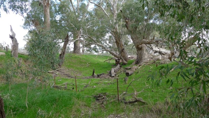 Moss Road Barnawartha North VIC, Barnawartha North - Thumbnail 3