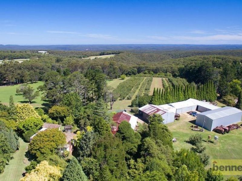 BILPIN, NSW, Bilpin - Thumbnail 4