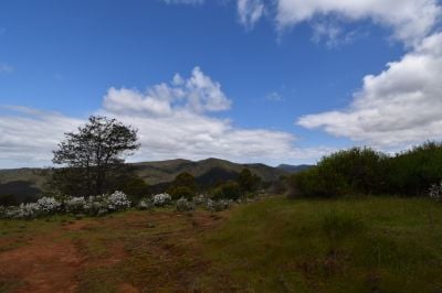 9 Smiths Plains Road, South Nietta, South Nietta - Thumbnail 3