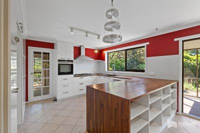 4
 
 
 
  
 
 
 3
 
 
 
  
 
 
 2
 
 
 
 
 
 
 
 41 Highfield Road, Ambleside TAS 7310, Ambleside - Thumbnail 7